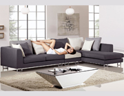 Loews Sectional Sofa AE203